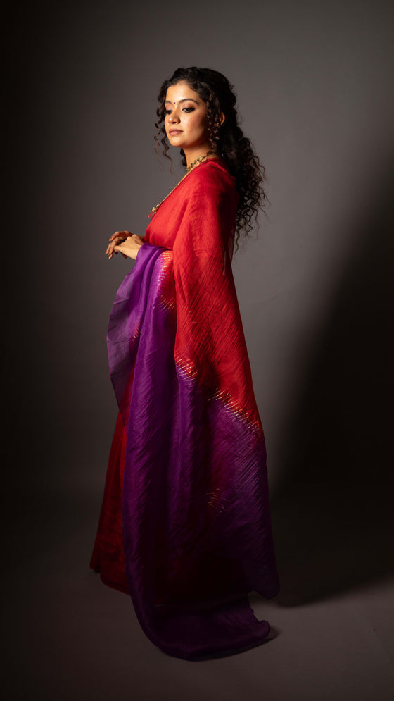 Metal Fringe Saree