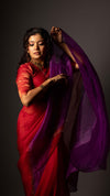 Metal Fringe Saree