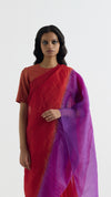 Metal Fringe Saree